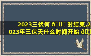 2023三伏何 🐋 时结束,2023年三伏天什么时间开始 🦟